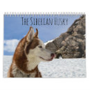 Suche nach husky kalender Schnee