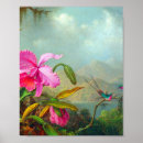 Suche nach martin johnson heade poster Kolibris