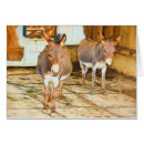 Suche nach jenny karten Maultiere