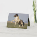 Suche nach herausforderungen postkarten Pferde