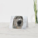 Suche nach irisch karten Schnee