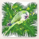 Suche nach grüner papagei untersetzer Aquarell