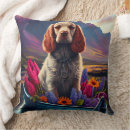 Suche nach cocker spaniel kissen Hund