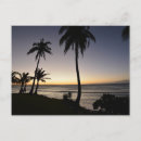 Suche nach philippinen postkarten Palmen