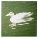Suche nach ente fliesen Tierwelt