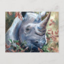 Suche nach rhino postkarten Afrika