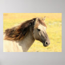 Suche nach graue pferde poster Für sie