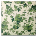 Suche nach efeu fliesen Pflanze