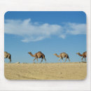 Suche nach kamele mousepads Afrika
