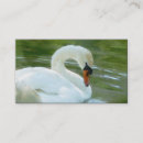 Suche nach schwan visitenkarten See