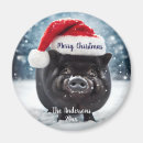 Suche nach piggy magnete Schwein