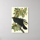 Suche nach rabe leinwandbilder Vogel