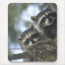Suche nach lebensraum mousepads Zwei