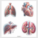 Suche nach human aufkleber Herz