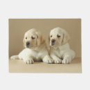 Suche nach der labrador türmatten Niedliches