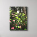 Suche nach redwood leinwandbilder California