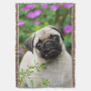 Suche nach mops decken Lustig
