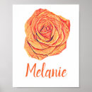 Suche nach mandarinen poster Blume