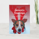 Suche nach tierkörperteil karten Ein tier