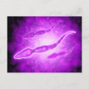 Suche nach männliche postkarten Detail