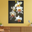 Suche nach die orchidee leinwandbilder Botanik
