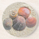 Suche nach muscheln untersetzer Küste