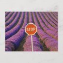 Suche nach stoppen sie postkarten Blume