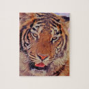 Suche nach foto tiger puzzle Schön