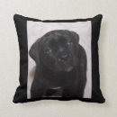 Suche nach mastiff kissen Welpe