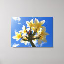 Suche nach plumeria leinwandbilder Botanisch