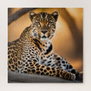 Suche nach leopard puzzle Natur
