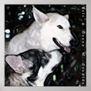 Suche nach schwarz weißer wolf poster Tiere