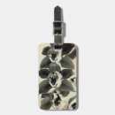 Suche nach orchideen gepäckanhänger Fotografie