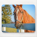 Suche nach reitpferd mousepads Ranch