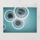 Suche nach struktur postkarten Medizin