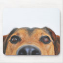 Suche nach nase mousepads Haustier