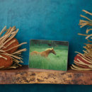 Suche nach wieser fotoplatten Pferd