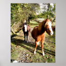 Suche nach ponys kunst Niedlich