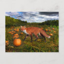 Suche nach kreter postkarten Fuchs