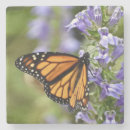 Suche nach monarchfalter untersetzer Blume