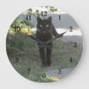 Suche nach gato poster Cat
