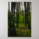 Suche nach birkenbäume poster Natur
