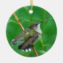 Suche nach kolibrie ornamente Vögel