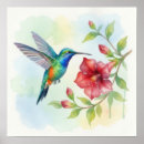 Suche nach kolibri poster Aquarell