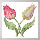 Suche nach antike blumen poster Illustration