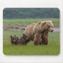 Suche nach bärenjunge mousepads Mutter und kind