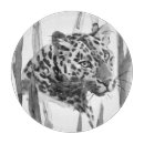 Suche nach wild lebende tiere schneidebrettchen Große katze