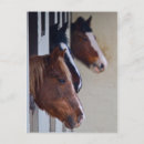 Suche nach drei pferde poster Tiere