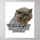 Suche nach lustige katzen poster Katzenliebhaber