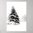 Suche nach winterbaum poster Natur
